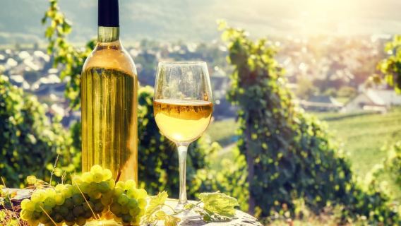 From Bucharest: Romanian Wine Tasting Tour