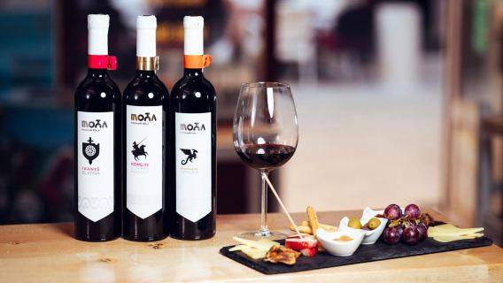 Mostar Wine Tasting Experience