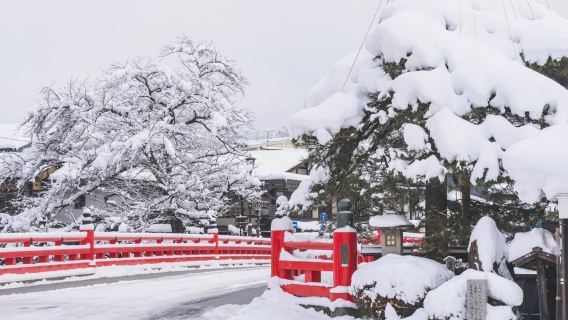 From Nagoya: Gujo, Hida Takayama, and Shirakawa-go Day Tour