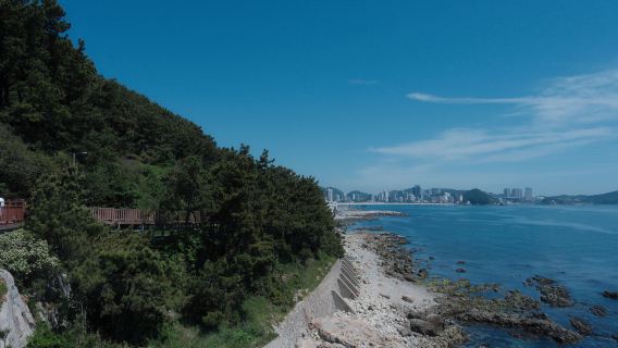 釜山包車1日·海景網紅線（甘川洞+白淺灘+青沙浦+海岸列車）