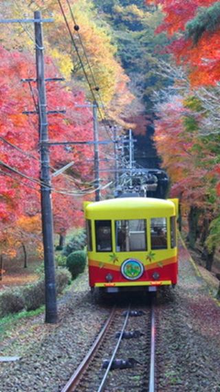 [Mount Takao autumn leaves festival] Stroll through the famous maple mountain and savor the "Ukai Toriyama" lunch on a 1-day tour