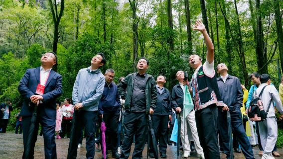 Zhangjiajie Tour Guide Service (Zhangjiajie Tour Private Customized Tour Guide Service, Hunan Tour Private Customized Tour Guide Service, Phoenix Tour Guide Service)