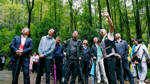 ZhangjiajieExperiences