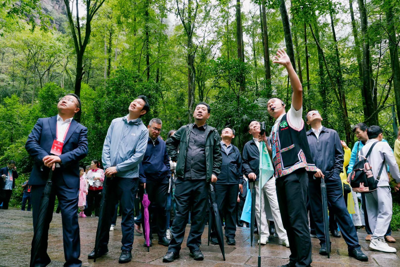 Zhangjiajie Tour Guide Service (Zhangjiajie Tour Private Customized Tour Guide Service, Hunan Tour Private Customized Tour Guide Service, Phoenix Tour Guide Service)