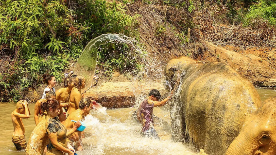 Excursión de medio día al Santuario de Elefantes de Phuket en Phuket, Tailandia