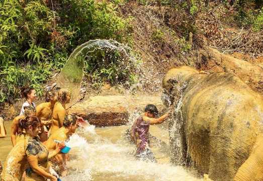 Phuket Elephant Jungle Sanctuary Half Day Tour in Phuket, Thailand