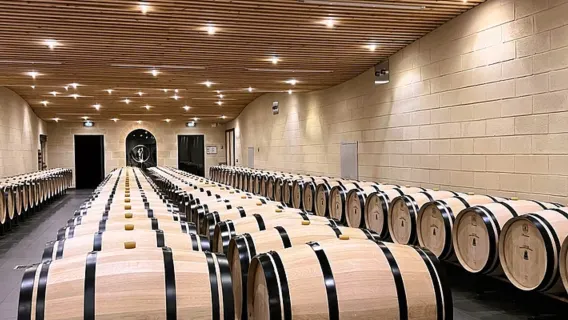 Excursión de un día a Saint-Émilion desde Burdeos [incluye almuerzo/degustación de vinos/visita guiada con explicaciones]