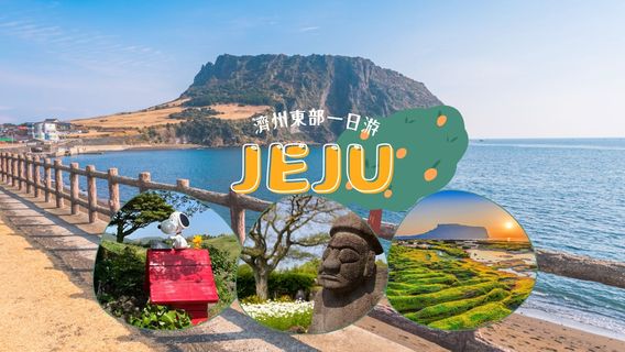 JejuTours