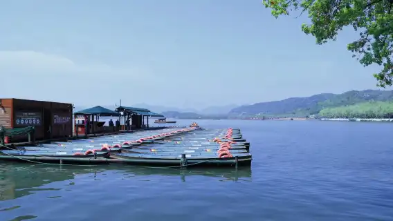 杭州西湖+雷峰塔+西湖遊船+靈隱寺一日遊【純玩資深講解】