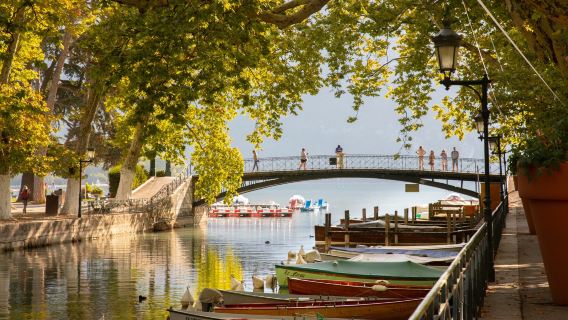 Excursión de un día a Annecy y Ginebra desde Ginebra ida y vuelta