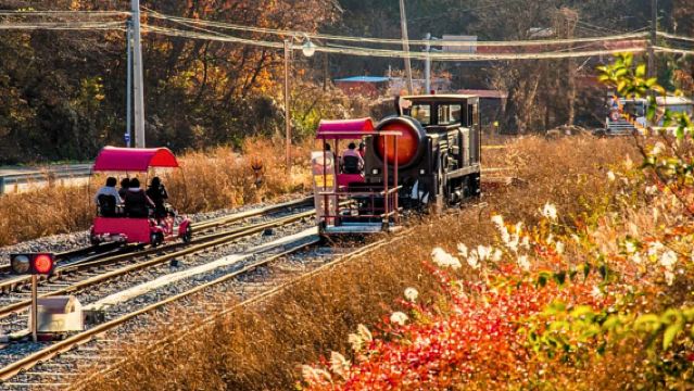 Gangchon Rail Park X Petite France X Italia Village Pinocchio & Da Vinci X Nami Island