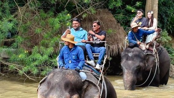 Pattaya Elephant Village elephant ride through jungle/river crossing/show/elephant bathing/drinks/self-guided visit