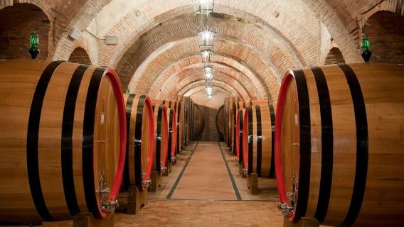 Montepulciano: Lawatan Berpandu Ladang Anggur + Rasa Wain