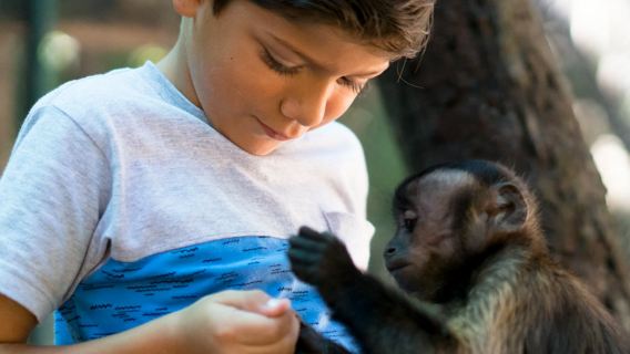 ATV Monkey Jungle Tour