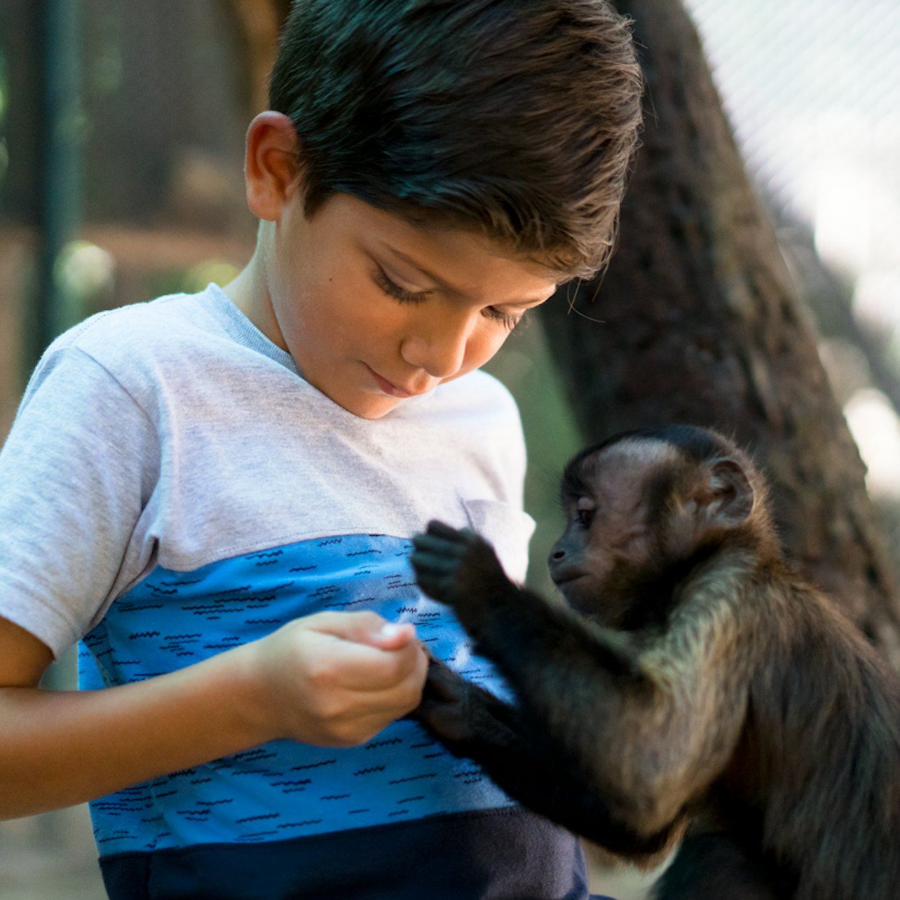 ATV猴子叢林之旅