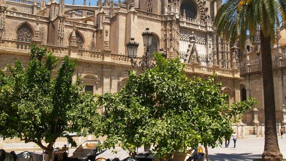 พระราชวังอัลกาซาร์แห่งเซบียา: บัตรเข้าชม + ทัวร์พร้อมไกด์ 75 นาที