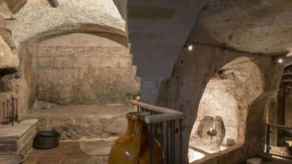MOOM Museo dell'Olio d'Oliva di Matera: Biglietto d'Ingresso