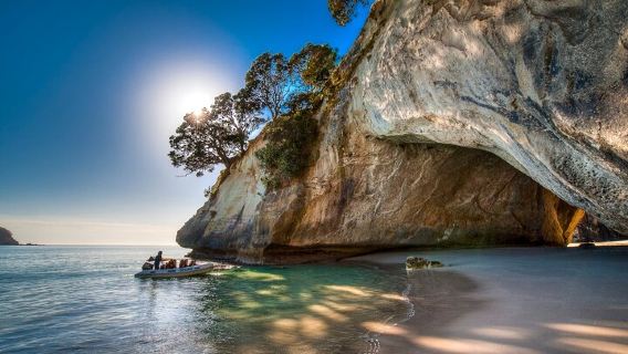 WellingtonTours