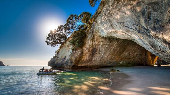 WellingtonTours