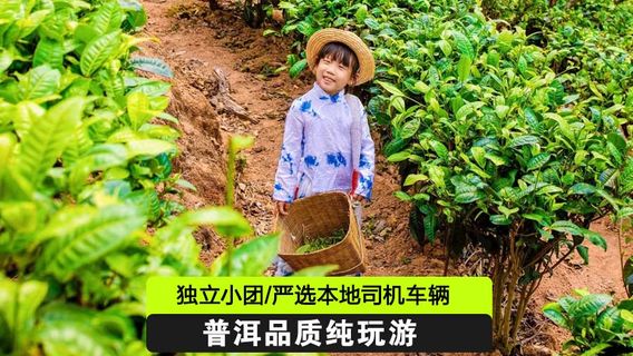 普洱日遊