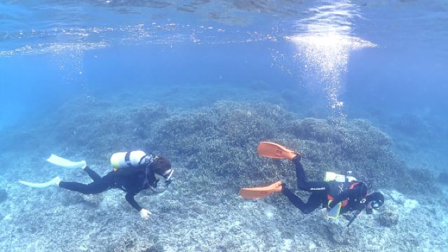 Okinawa Chako Travel