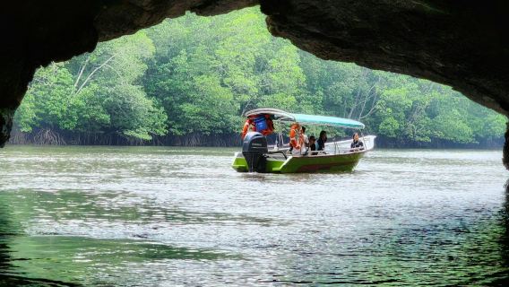 Paradise 101 Langkawi: Kilim Mangrove Guided Boat & Kayak Tour