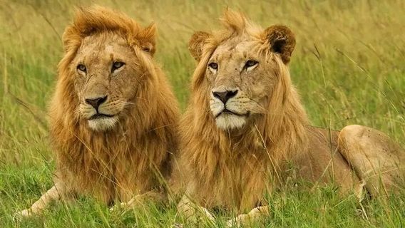 NairobiTours