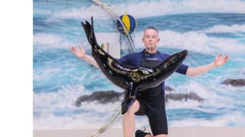 Dubai Attraction: Dubai Dolphinarium Day Tours 4
