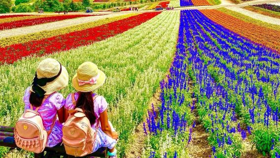 Hokkaido Shikisai Hill + Farm Tomita + Blue Pond/Forest Fairy Terrace 1-day tour from Sapporo