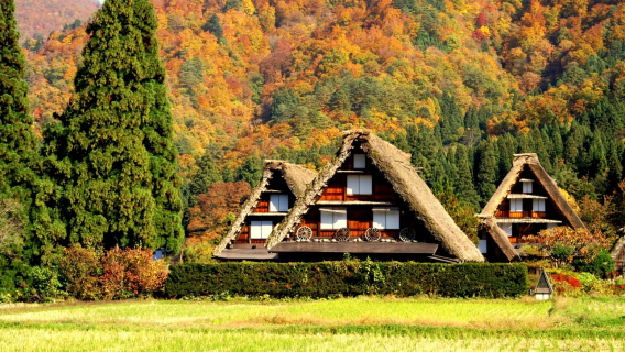Nagoya to Shirakawa-go & Hida Takayama: UNESCO Heritage 1-Day Tour