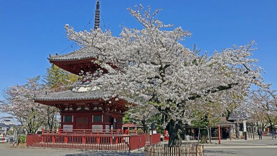 Kawagoe
