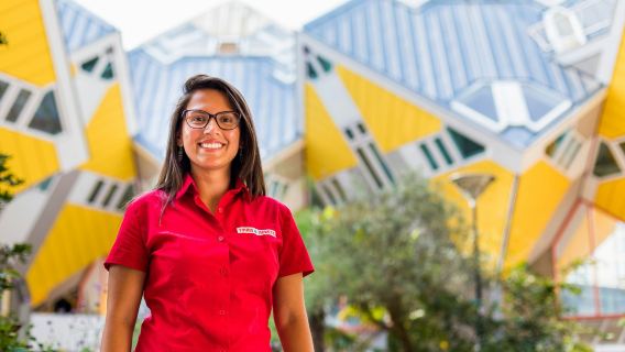 Rotterdam, Delft & The Hague: Guided Tour + 3 Attractions