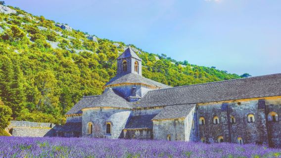 阿維尼翁出發(方丹-德沃克呂斯+薰衣草博物館+塞南克修道院)