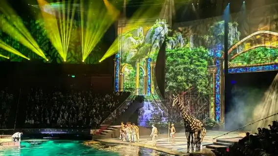 澳門新濠天地水舞間：一生必看水上匯演含自助餐