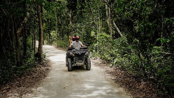 CozumelTours
