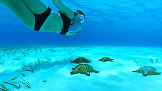 Grand CaymanTours