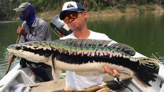 古巴哈瓦那+巴拉德羅濱海度假一日遊【酒店上門接送】