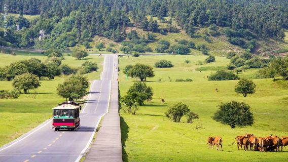 Pengshui CountyTours