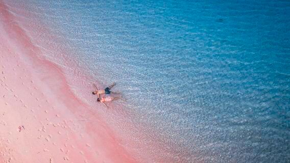 Komodo Island speedboating 1-day tour[Padar Island + Pink Sand Beach + Komodo Island + Cape Manta]