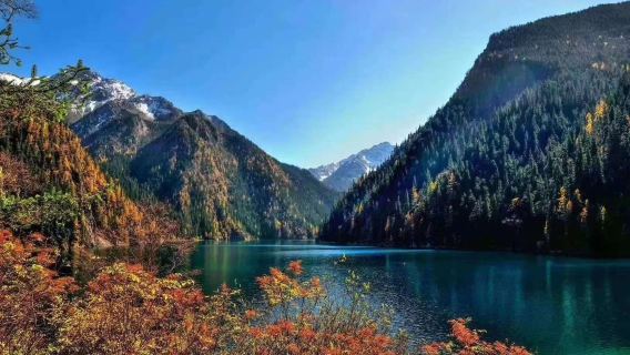 九寨溝風景區導遊+門票觀光車+飯店接駁一日遊2-6人團獨立出行/可選獨立導遊