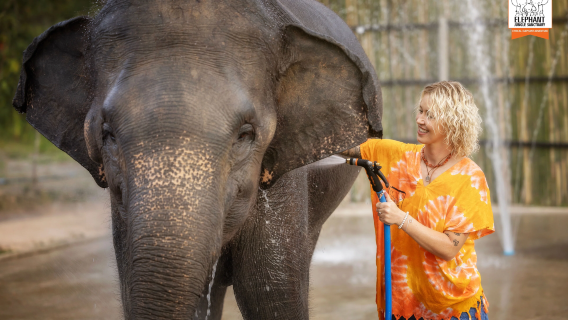 Halbtagestour zum Elefanten-Dschungelschutzgebiet (Canyon Branch) in Chiang Mai, Thailand