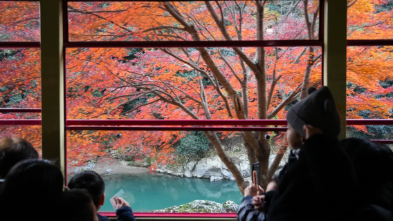 京都日遊