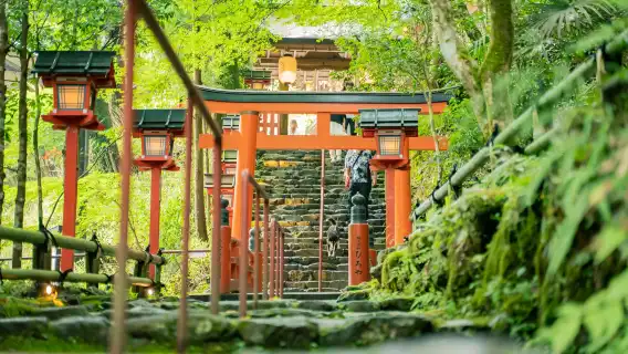 日本京都三千院+貴船神社+嵐山一日遊【9人小團接送可選】