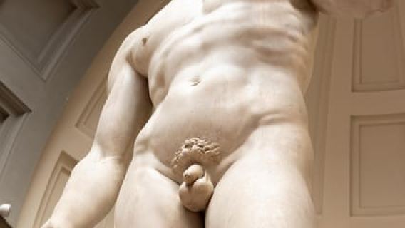 Florenz: Führung durch die Galleria dell'Accademia ohne Anstehen