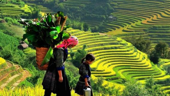 Sapa: Trekking Desa Ta Phin dengan Makan Siang dan Pengalaman Mandi