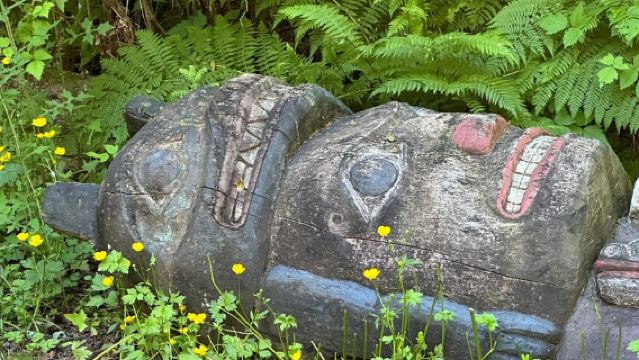 Wild Wolf Tours - 3 hour