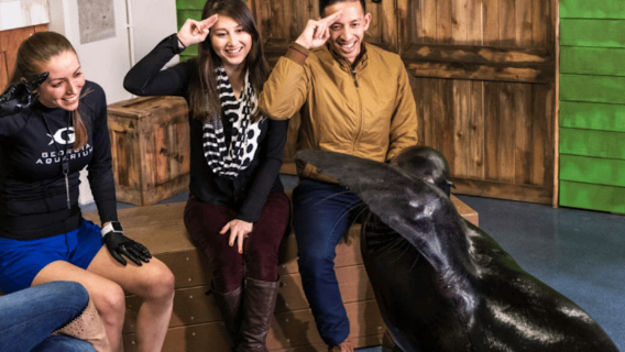 Georgia Aquarium: Sea Lion Encounter