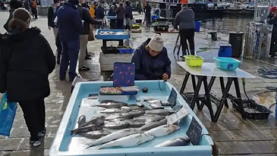 From Marseille : Sidecar Wine Tour to Cassis and Bandol