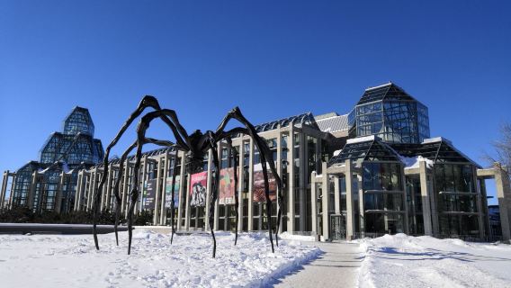 Ottawa Rideau Canal + Art Gallery + Parliament Hill + Aviation Museum Day Tour in Canada