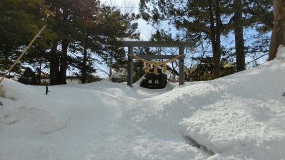 日本札幌+大通公園+白色戀人公園一日遊/行程可調-可定制多日